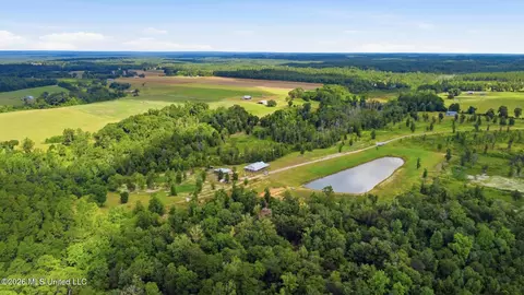 View/Area - 235 Roy Fairley Dr, Lucedale, MS 39452 photo 4 of 6