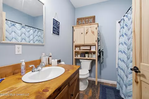 Bath - 235 Roy Fairley Dr, Lucedale, MS 39452 photo 3 of 3