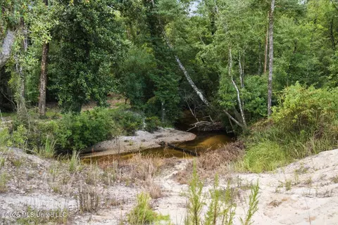 Other - 235 Roy Fairley Dr, Lucedale, MS 39452 photo 6 of 12