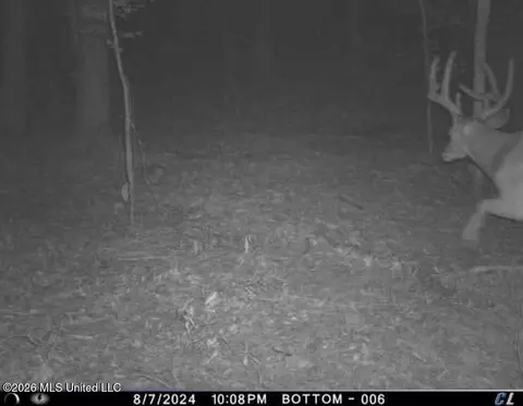 Co Rd 4102, Sallis, MS 39160 photo 25