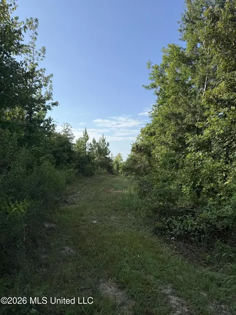 Co Rd 4102, Sallis, MS 39160 photo 17