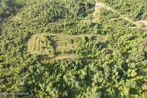 Co Rd 4102, Sallis, MS 39160 photo 3