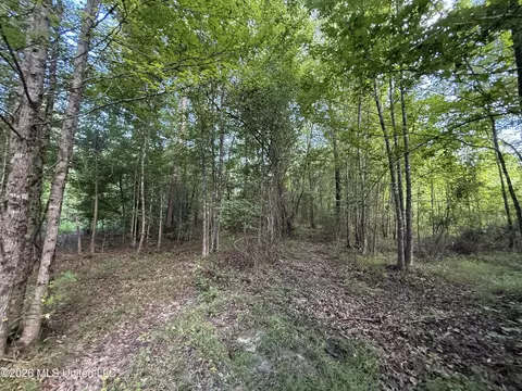 Co Rd 4102, Sallis, MS 39160 photo 14