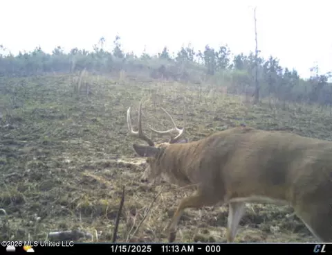Co Rd 4102, Sallis, MS 39160 photo 27