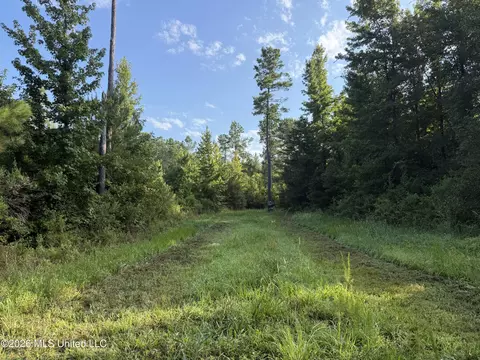 Co Rd 4102, Sallis, MS 39160 photo 2