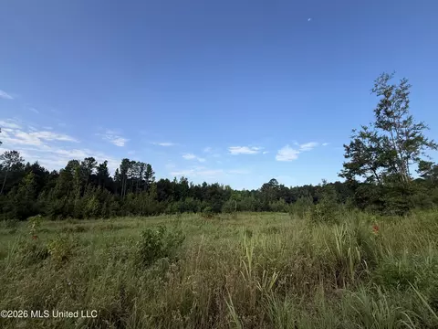 Co Rd 4102, Sallis, MS 39160 photo 8