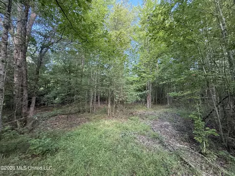 Co Rd 4102, Sallis, MS 39160 photo 12