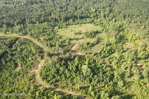 Co Rd 4102, Sallis, MS 39160 photo 19