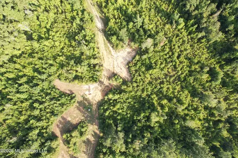 Co Rd 4102, Sallis, MS 39160 photo 22