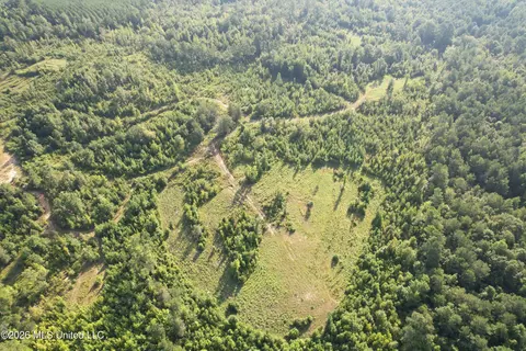 Co Rd 4102, Sallis, MS 39160 photo 5