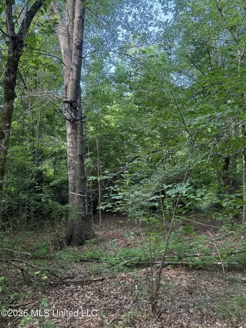 Co Rd 4102, Sallis, MS 39160 photo 13