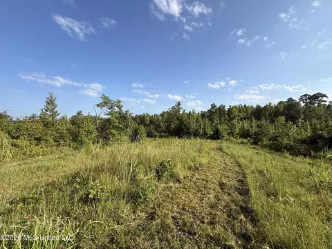 Co Rd 4102, Sallis, MS 39160 photo 4