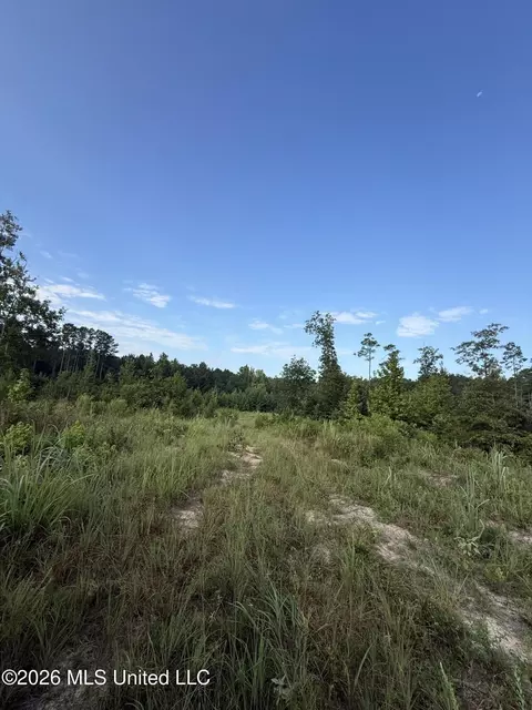 Co Rd 4102, Sallis, MS 39160 photo 9