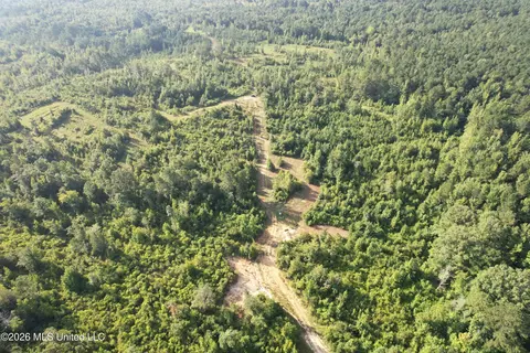 Co Rd 4102, Sallis, MS 39160 photo 18
