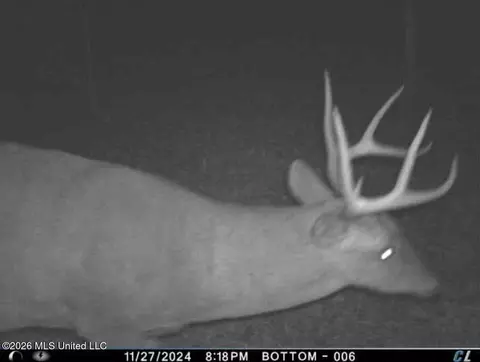 Co Rd 4102, Sallis, MS 39160 photo 26