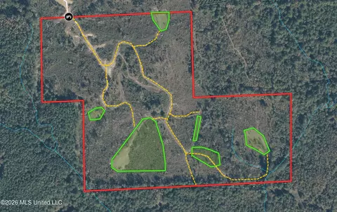 Co Rd 4102, Sallis, MS 39160 photo 32