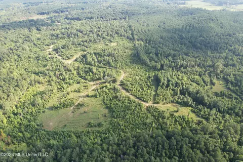 Co Rd 4102, Sallis, MS 39160 photo 20
