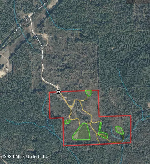 Co Rd 4102, Sallis, MS 39160 photo 35