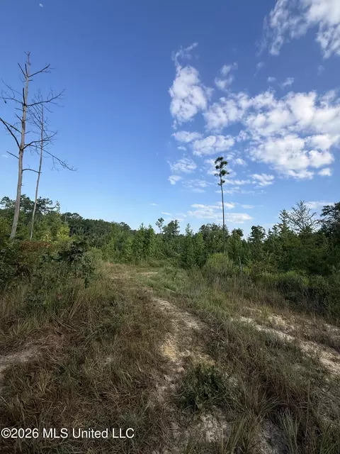 Co Rd 4102, Sallis, MS 39160 photo 10