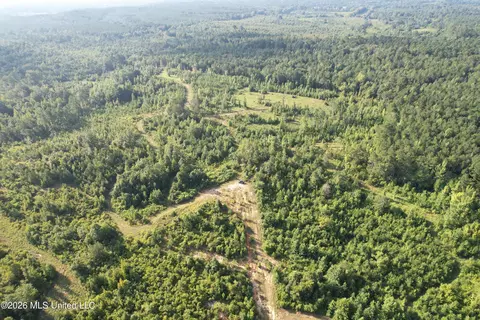 Co Rd 4102, Sallis, MS 39160 photo 23