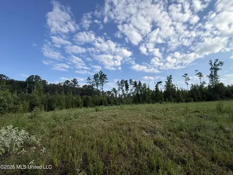 Co Rd 4102, Sallis, MS 39160 photo 7