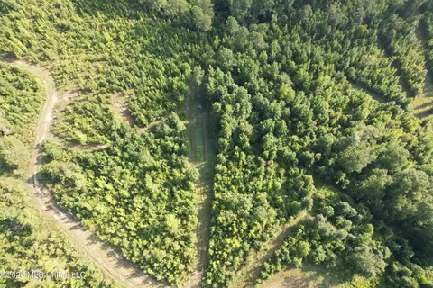 Co Rd 4102, Sallis, MS 39160 photo 21