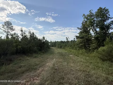 Co Rd 4102, Sallis, MS 39160 photo 11