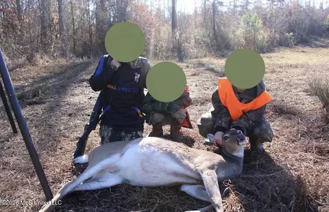 Co Rd 4102, Sallis, MS 39160 photo 31