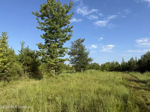 Co Rd 4102, Sallis, MS 39160 photo 6