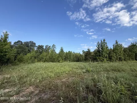Co Rd 4102, Sallis, MS 39160 photo 15