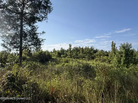 Co Rd 4102, Sallis, MS 39160 photo 16