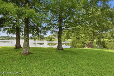 Other - 134 Lake Hill Dr, Flora, MS 39071 photo 6 of 18