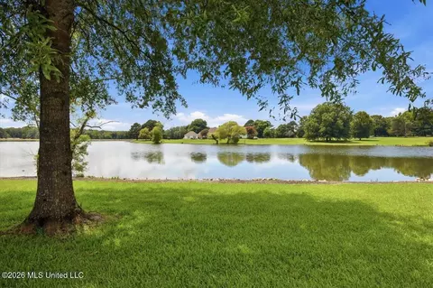 View/Area - 134 Lake Hill Dr, Flora, MS 39071 photo 1 of 4