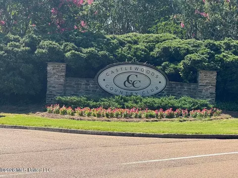 Other - 511 Willow Valley Cir, Brandon, MS 39047 photo 11 of 11