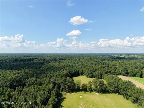 Other - 3224 Old Jackson Rd, Forest, MS 39074 photo 14 of 14