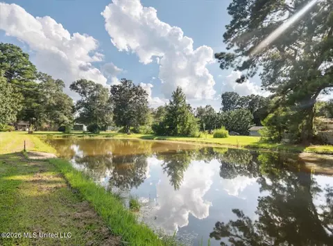 View/Area - 3224 Old Jackson Rd, Forest, MS 39074 photo 1 of 1