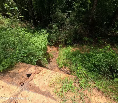 Ms-28, Pattison, MS 39144 photo 88
