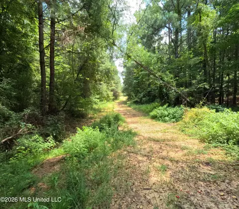 Ms-28, Pattison, MS 39144 photo 86