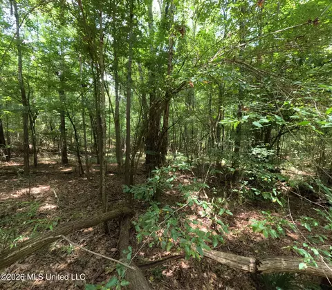 Ms-28, Pattison, MS 39144 photo 83