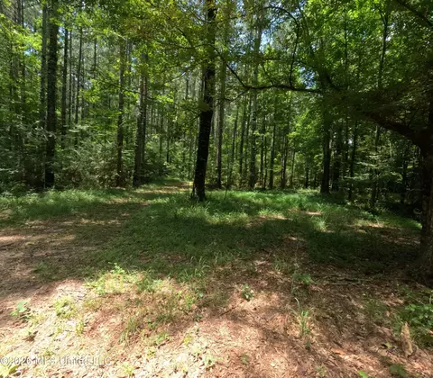 Ms-28, Pattison, MS 39144 photo 65