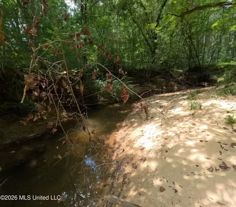 Ms-28, Pattison, MS 39144 photo 60