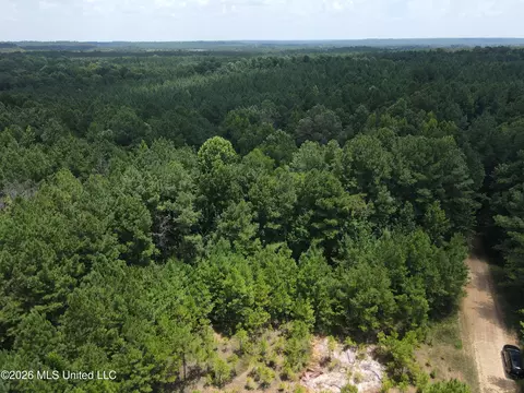 Ms-28, Pattison, MS 39144 photo 11