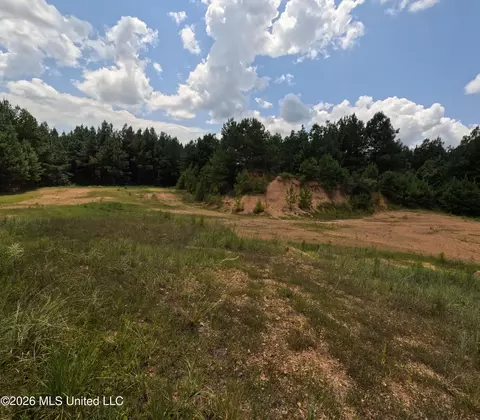 Ms-28, Pattison, MS 39144 photo 78