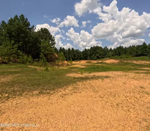 Ms-28, Pattison, MS 39144 photo 74