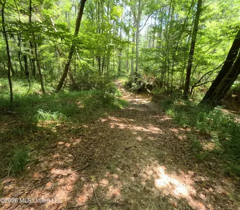 Ms-28, Pattison, MS 39144 photo 64