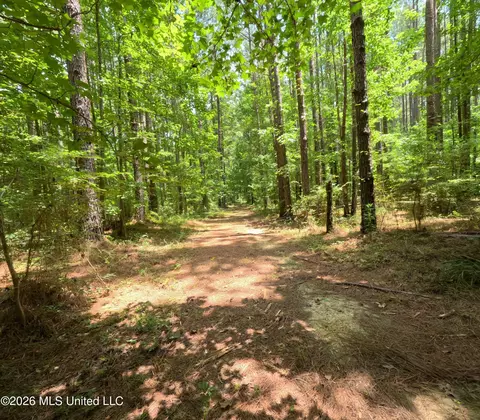 Ms-28, Pattison, MS 39144 photo 71