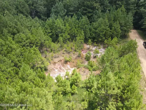 Ms-28, Pattison, MS 39144 photo 10
