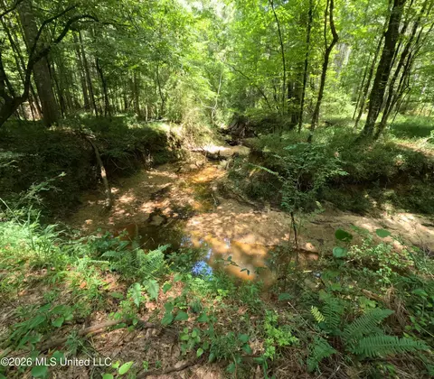 Ms-28, Pattison, MS 39144 photo 66