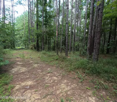 Ms-28, Pattison, MS 39144 photo 53