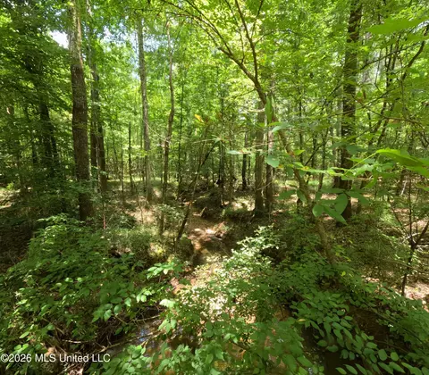 Ms-28, Pattison, MS 39144 photo 101